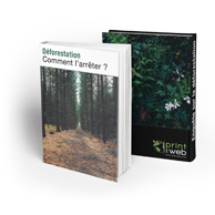 imprimir libro